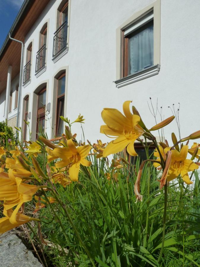 Ferienwohnungen Am Buechlhof Im Oberpfaelzer Seenland Neunburg vorm Wald Exterior foto